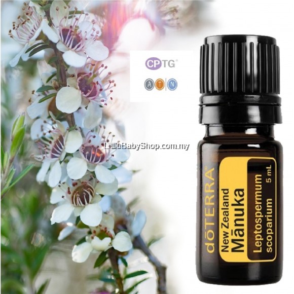 dōTERRA Manuka Oil (Leptospermum Scoparium) 5mL Little Baby Shop